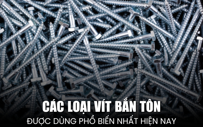 các loại vít bắn tôn